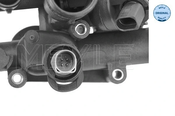 Thermostat, coolant