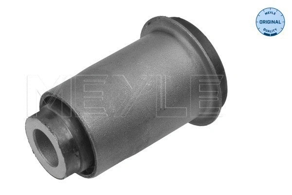 Mounting, control/trailing arm