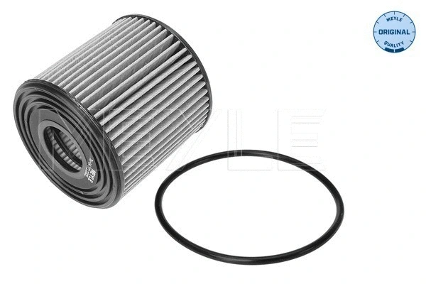 Oil Filter (36-14 322 0005)