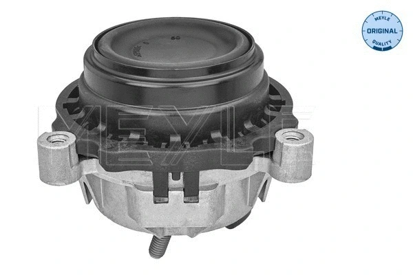 Mounting, engine (300 221 2121)