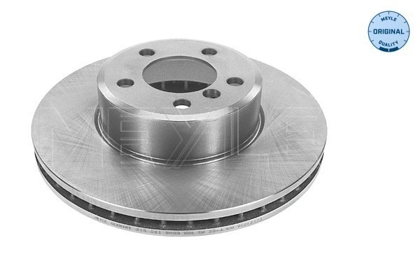 Brake Disc (315 521 3058)