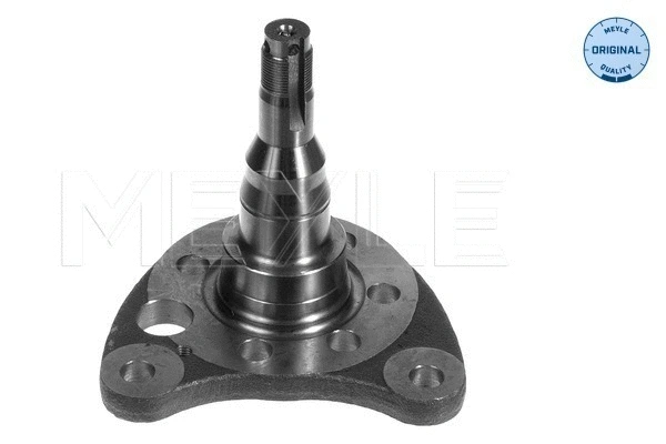Steering Knuckle, wheel suspension (100 501 0011)