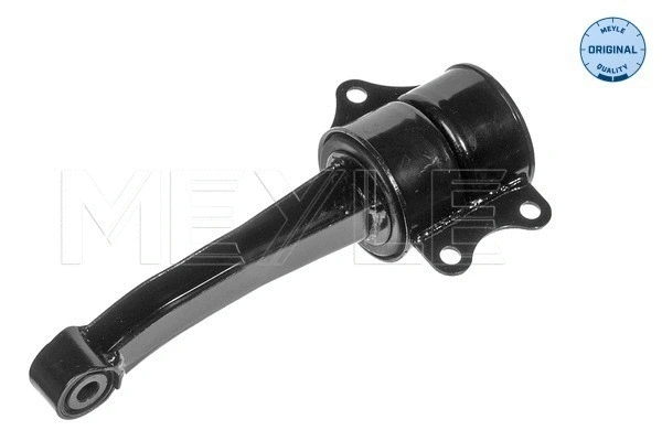 Mounting, engine (100 199 0065)