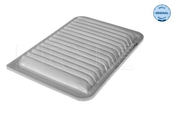 Air Filter (30-12 321 0035)