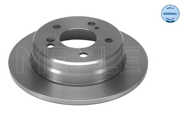 Brake Disc (015 523 0019)