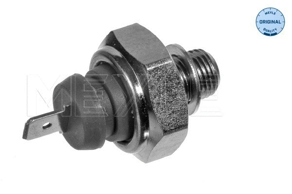 Oil Pressure Switch (100 919 0030)