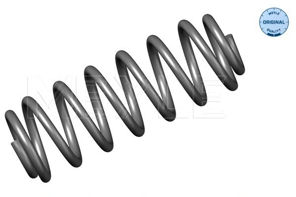 Suspension Spring (314 739 0010)
