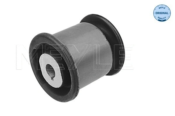 Mounting, control/trailing arm