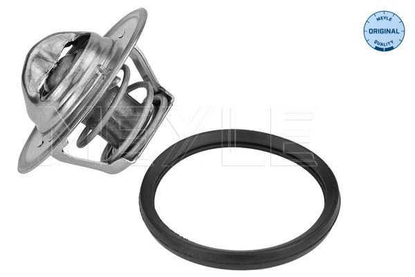 Thermostat, coolant (36-28 228 0005)