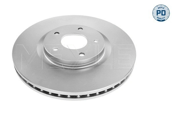 Brake Disc (36-15 521 0070/PD)