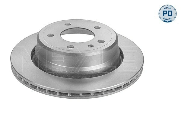 Brake Disc (315 523 0038/PD)