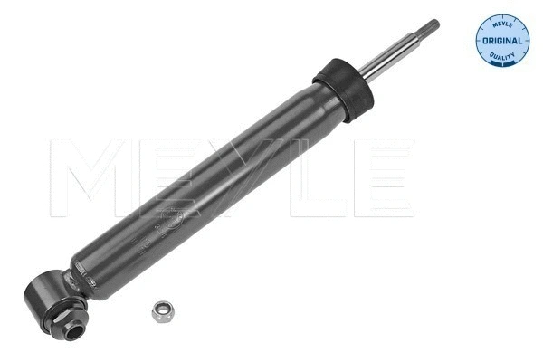 Shock Absorber (326 725 0029)
