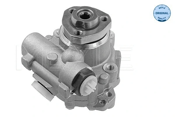 Hydraulic Pump, steering (114 631 0015)