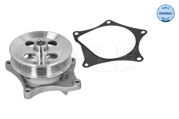 Water Pump, engine cooling (613 220 0016)