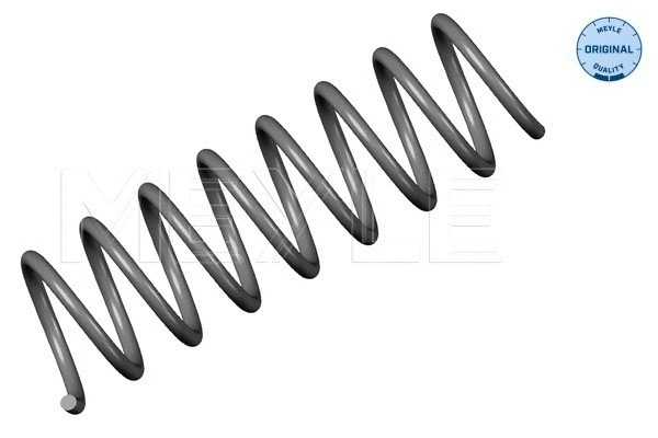 Suspension Spring (314 739 0016)