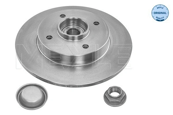 Brake Disc (11-15 523 4101)