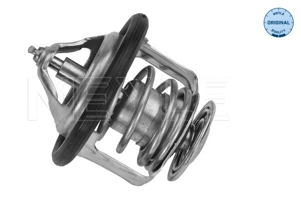 Thermostat, coolant (36-28 228 0000)