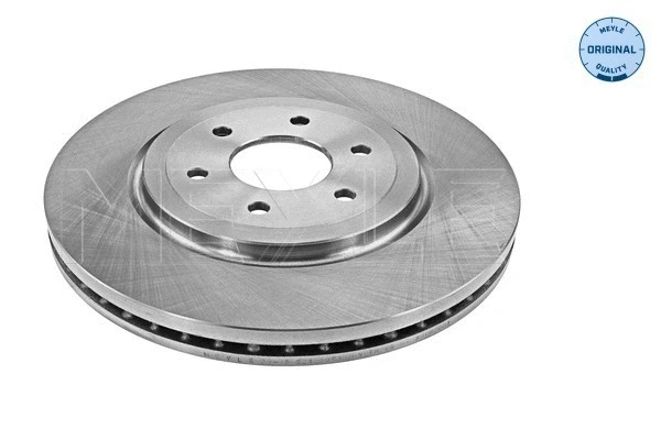 Brake Disc (36-15 521 0073)