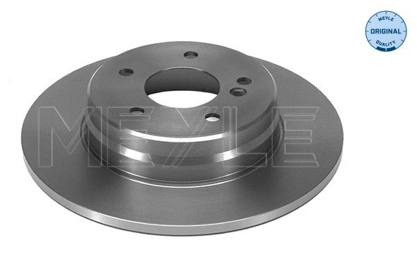 Brake Disc (015 523 0022)