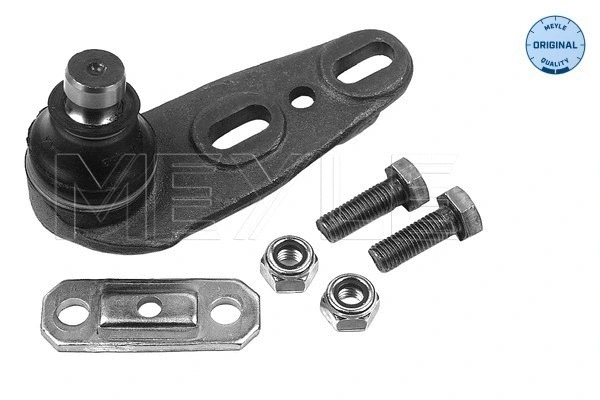 Ball Joint (116 010 7170)