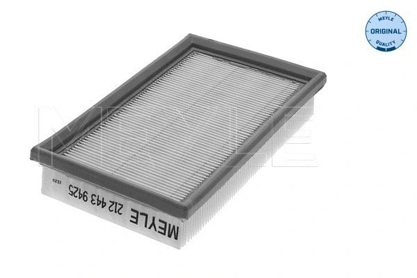 Air Filter (212 443 9425)