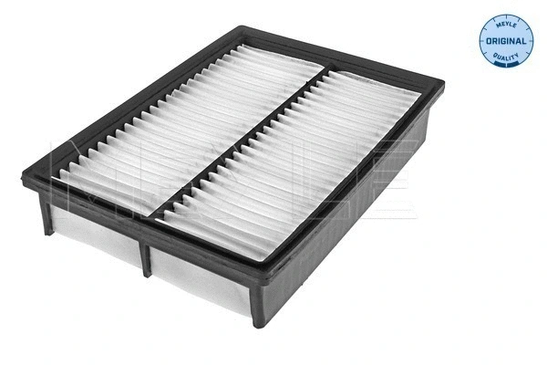 Air Filter (35-12 321 0004)