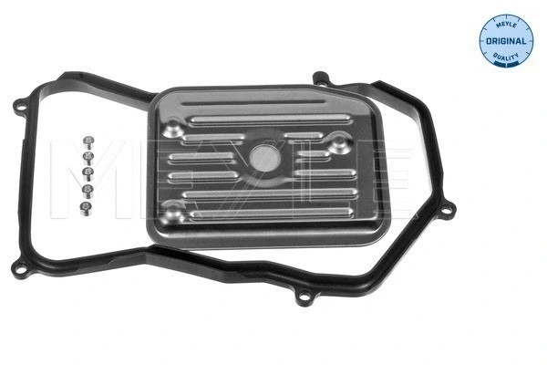 Hydraulic Filter Kit, automatic transmission (100 398 0010)