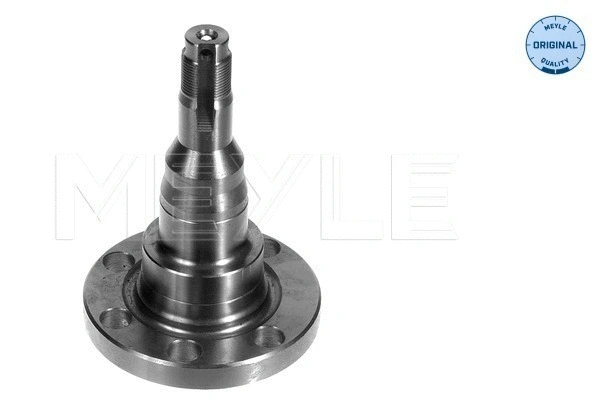 Steering Knuckle, wheel suspension (100 501 1010)