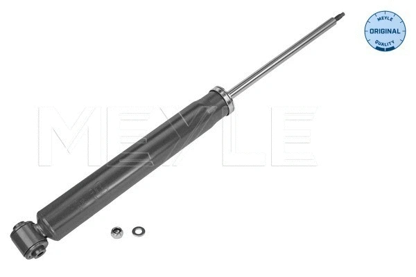 Shock Absorber (11-26 725 0013)