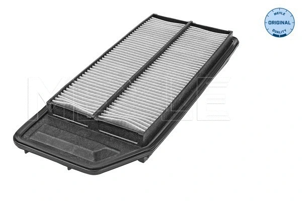 Air Filter (31-12 321 0021)