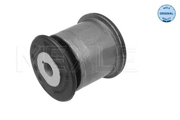 Mounting, control/trailing arm (100 710 0011)