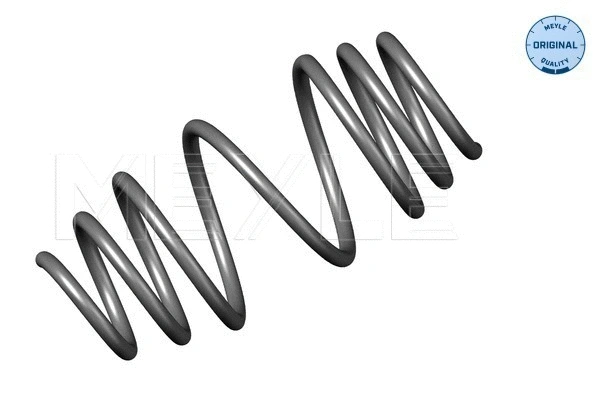 Suspension Spring (614 739 0016)
