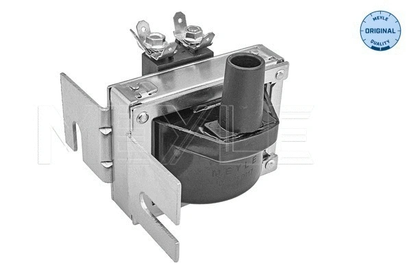 Ignition Coil (100 885 0017)