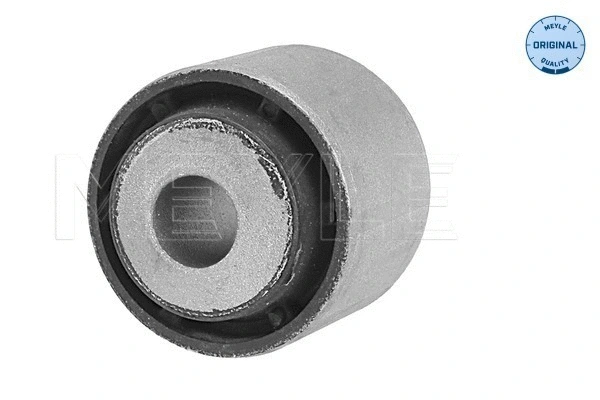 Mounting, axle strut