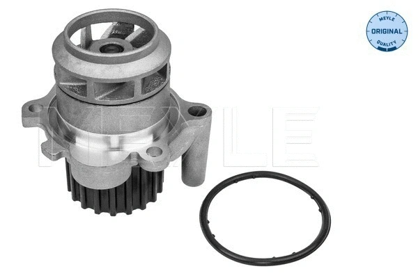 Water Pump, engine cooling (113 012 0059)