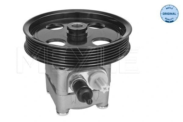 Hydraulic Pump, steering (514 631 0012)