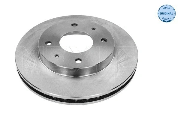 Brake Disc (515 521 5015)