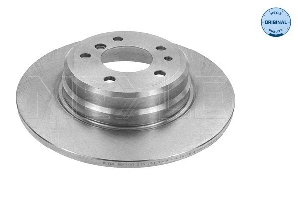 Brake Disc (315 523 0039)