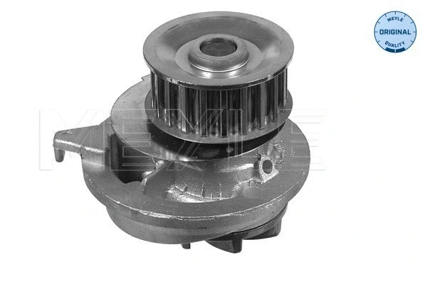 Water Pump, engine cooling (613 600 4014)