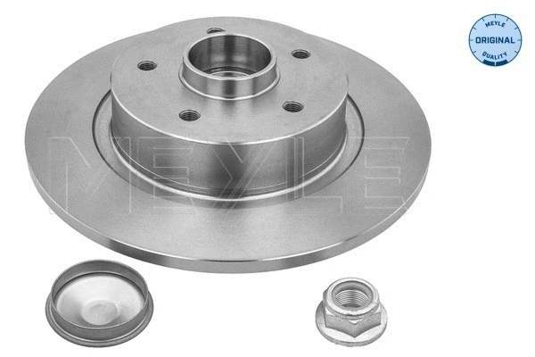 Brake Disc (16-15 523 4111)