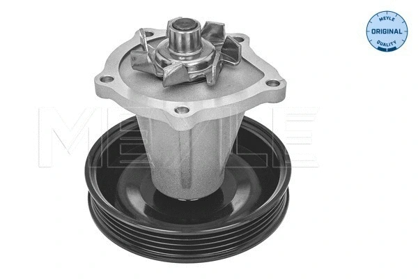 Water Pump, engine cooling (29-13 220 0002)