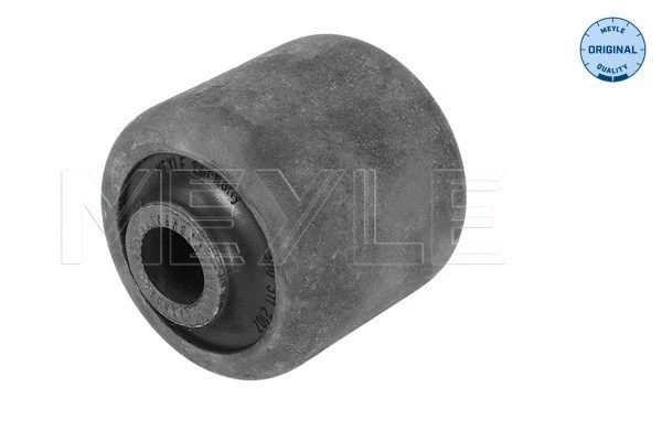 Mounting, control/trailing arm (300 311 2107)