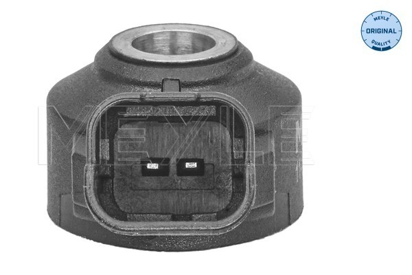 Knock Sensor