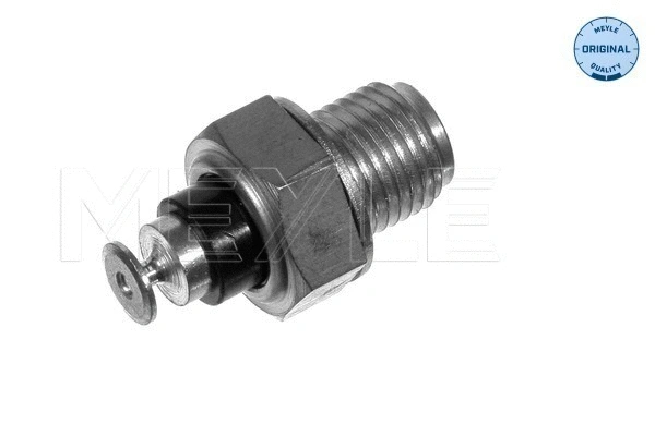Sensor, coolant temperature (100 919 0015)