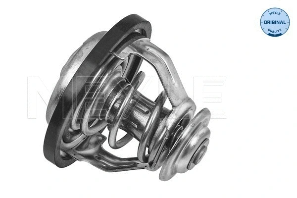 Thermostat, coolant (11-28 228 0008)