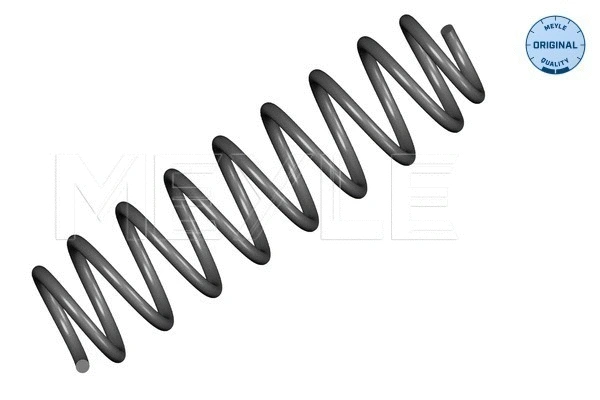 Suspension Spring (100 739 0021)