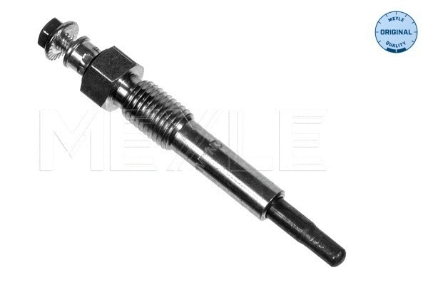 Glow Plug (600 020 2087)