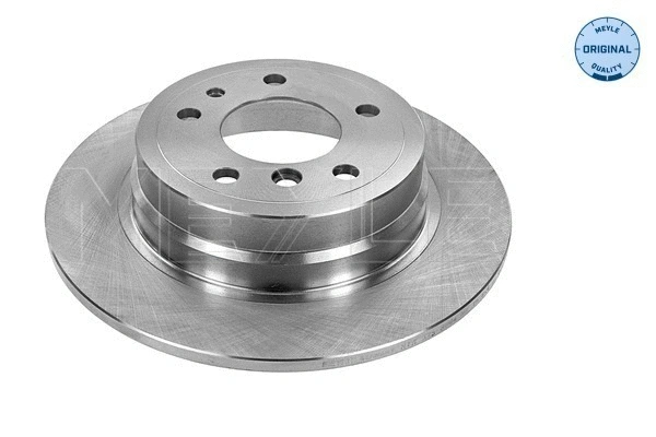 Brake Disc (315 523 3004)