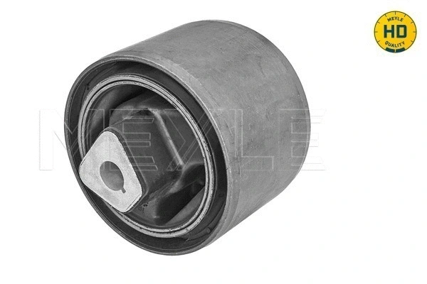 Mounting, control/trailing arm