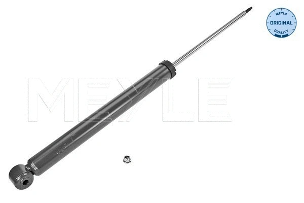 Shock Absorber (726 725 0025)